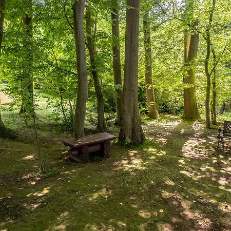 Am Bullerbach Deister * 巴辛豪森